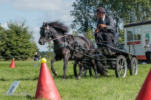 dressuur en vaardigheid  nienoord 10-8-2015  joshua keller-0060      